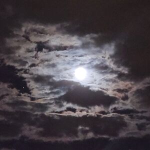 Meet your Posher, Mari